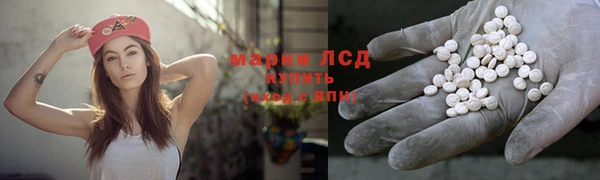 мяу мяу мука Горняк