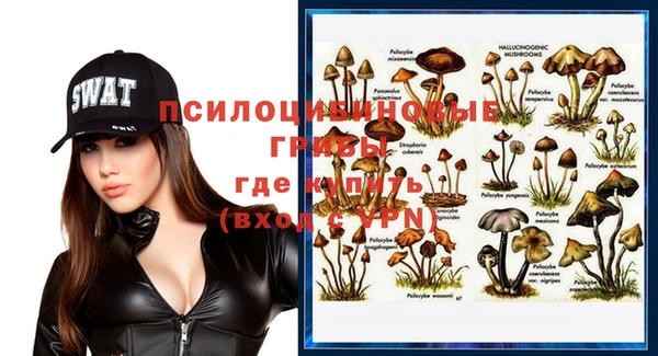 мяу мяу мука Горняк